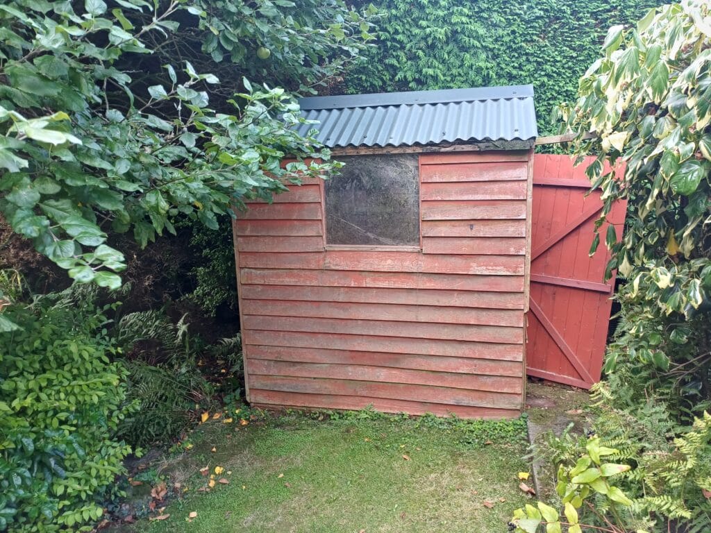 Before — Shed dismantling and garden clearance in Ballymena