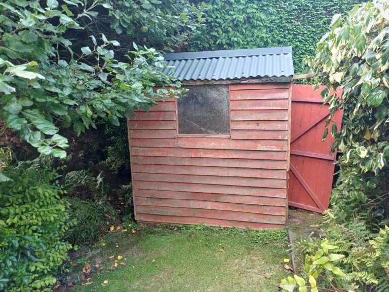 Before: Shed dismantling and garden clearance in Ballymena