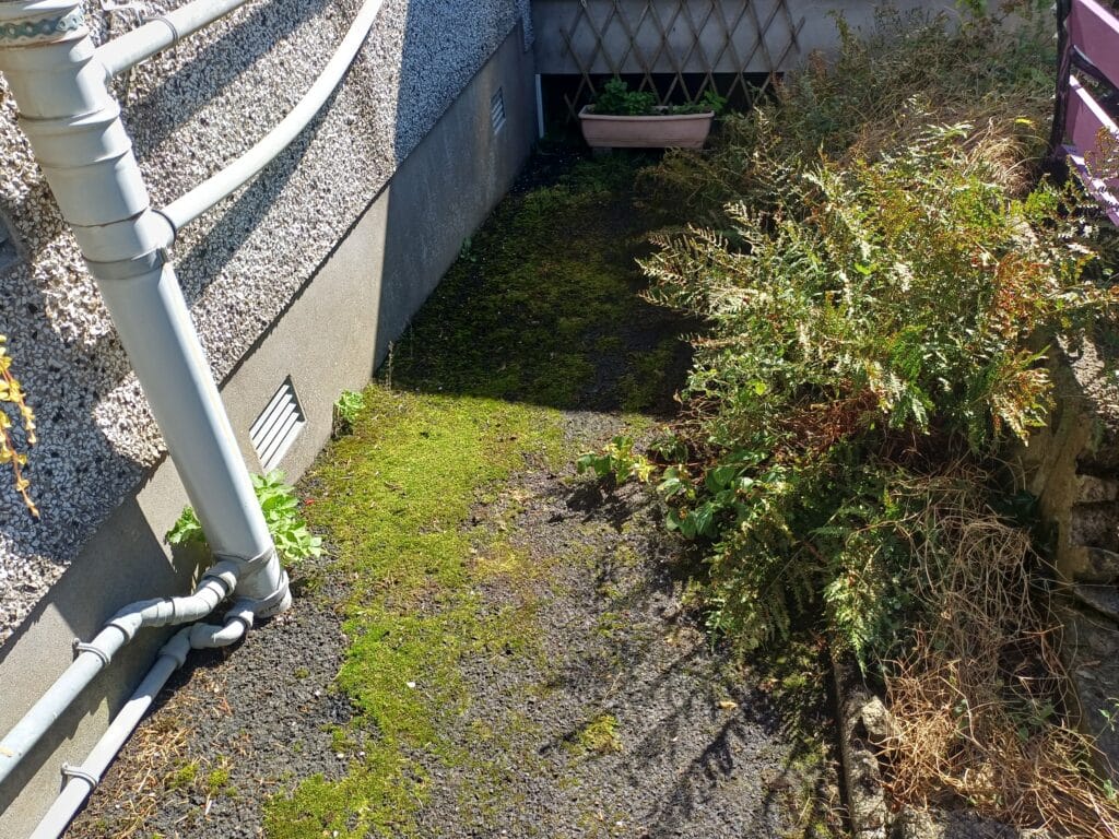 After — Shed dismantling and garden clearance in Ballymena